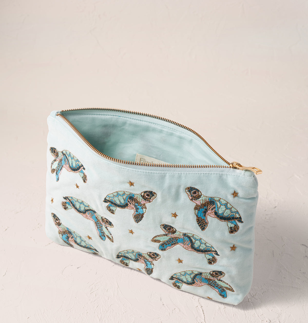 Baby Turtle Conservation Everyday Pouch