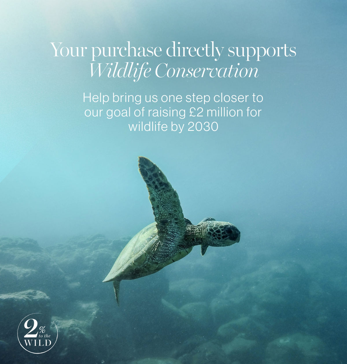 Baby Turtle Conservation Open Flat Makeup Bag