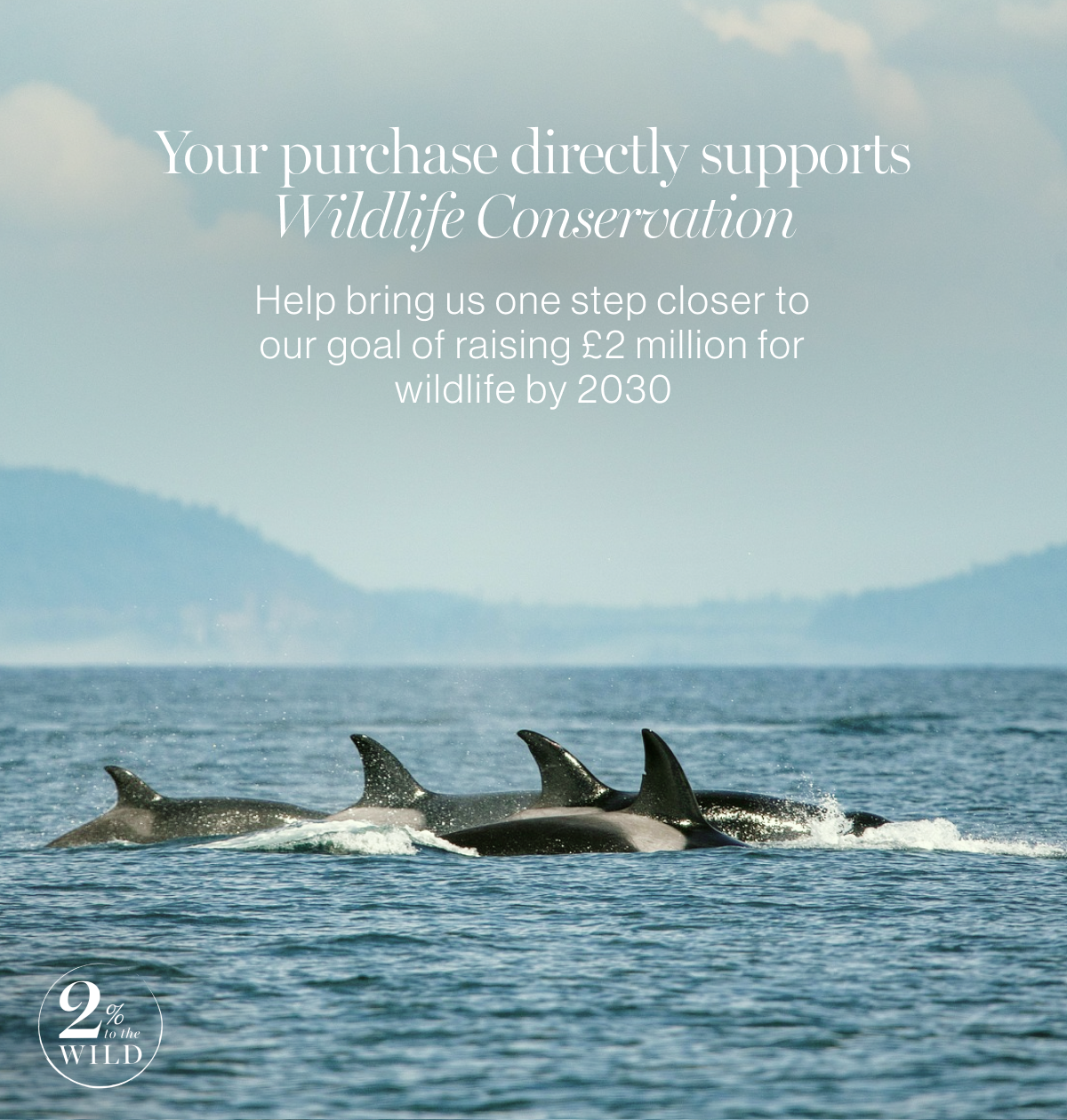 Wild Orcas Open Flat Makeup Bag