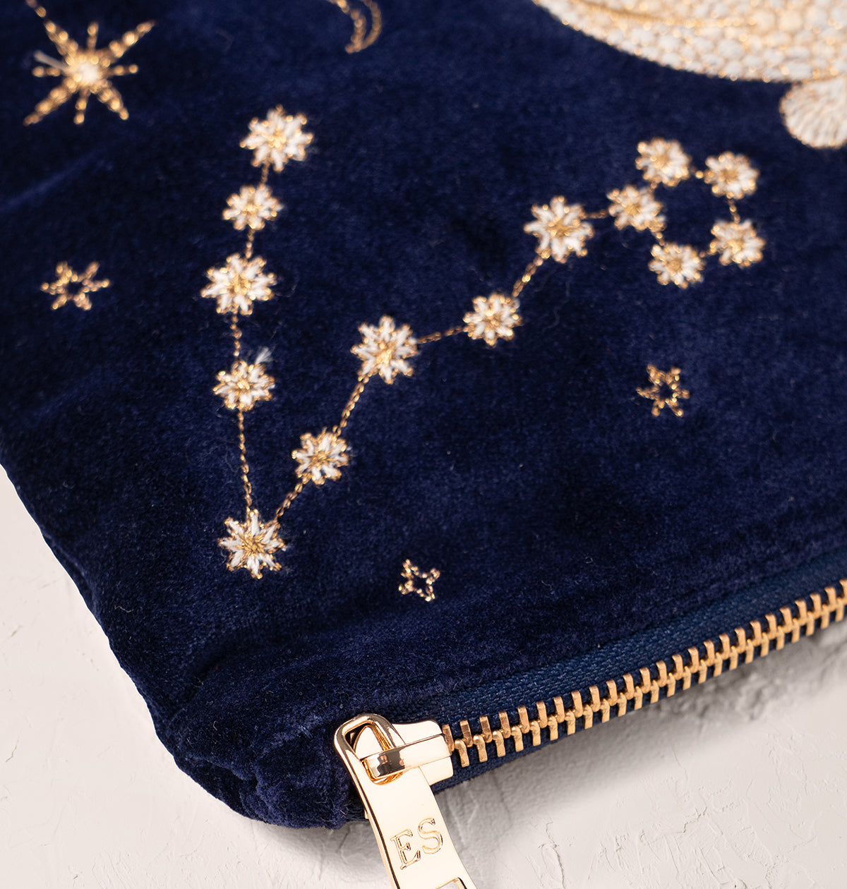 Pisces Everyday Pouch