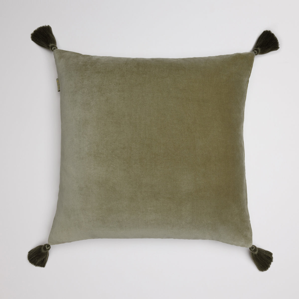 color_olive