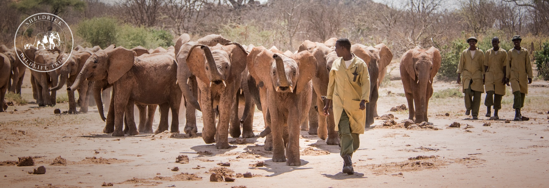 Six years of saving elephants together
