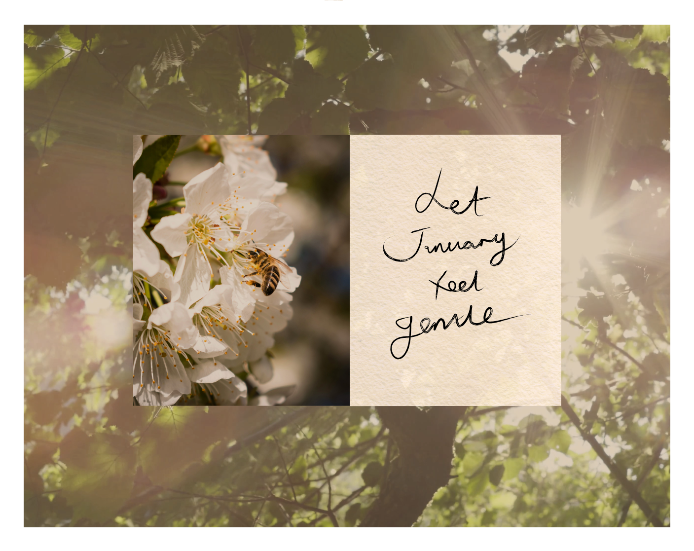 An intention-setting ritual for 2026