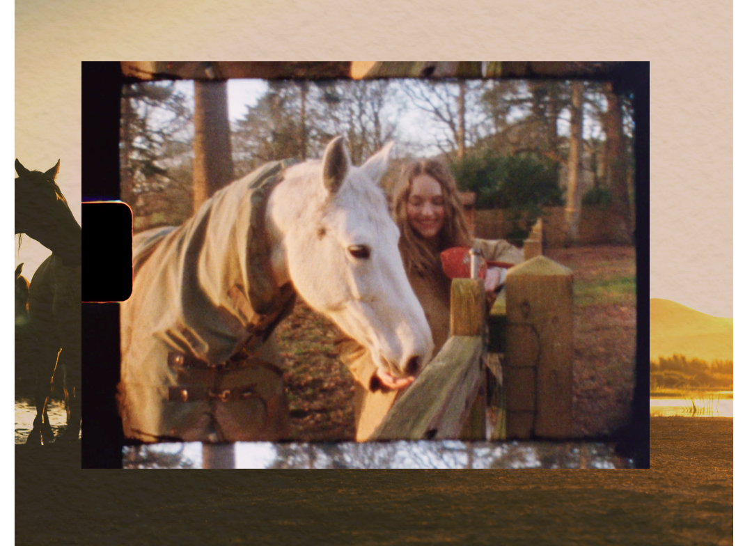 The Heart of The Horse