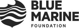 Blue Marine Foundation