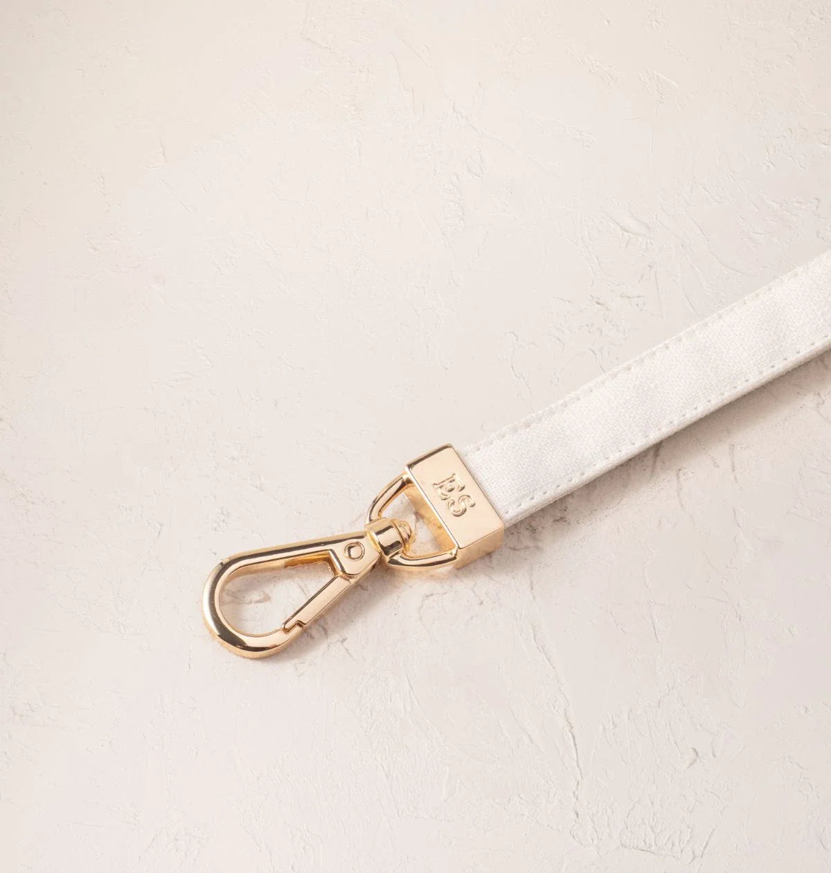 color_creamcanvas