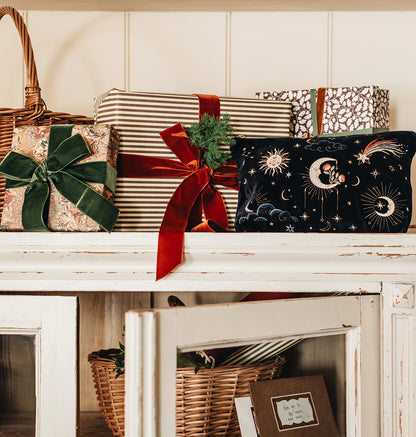Aurora Lights Everyday Pouch