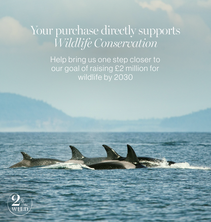 Wild Orcas Open Flat Makeup Bag