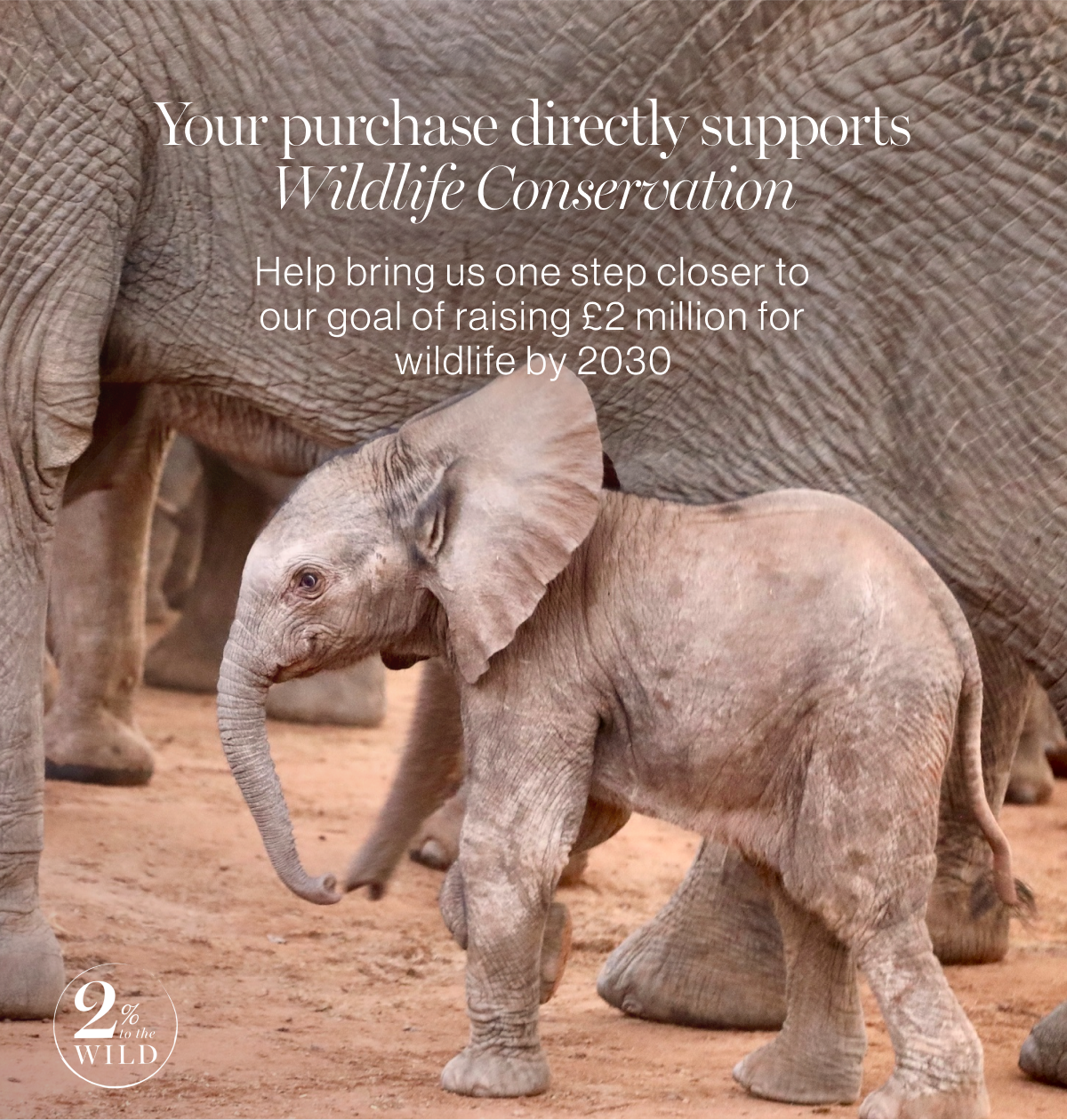 Baby Elephant Conservation Open Flat Makeup Bag