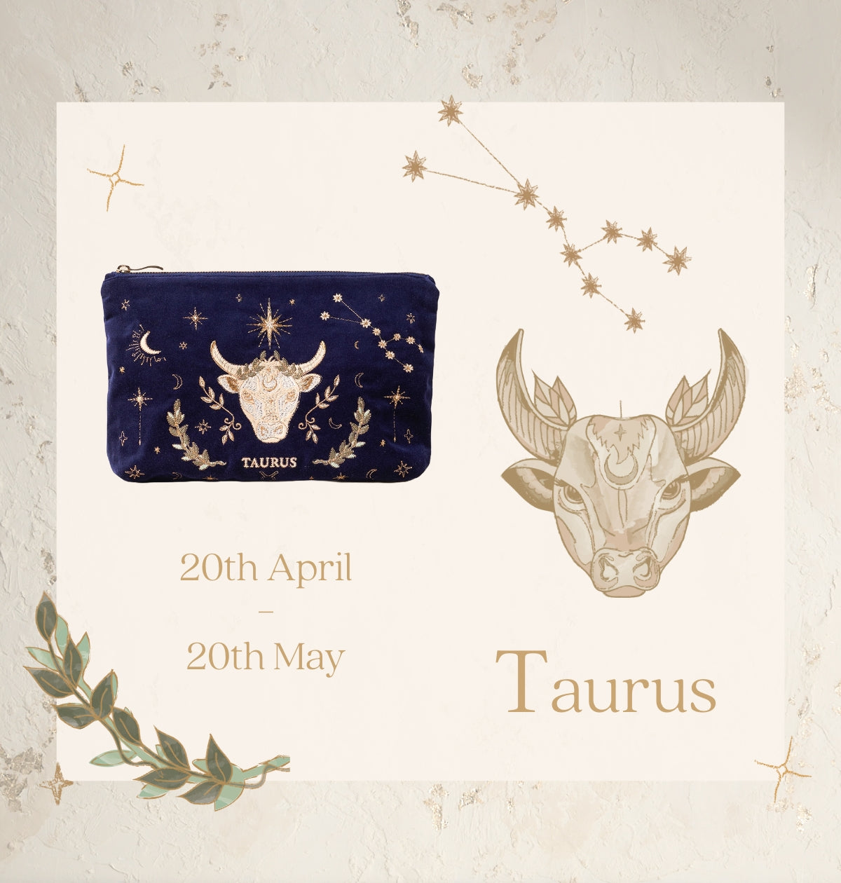 Taurus Everyday Pouch