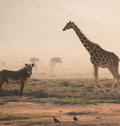 Safeguarding wild futures