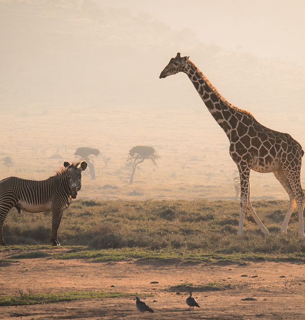 Safeguarding wild futures