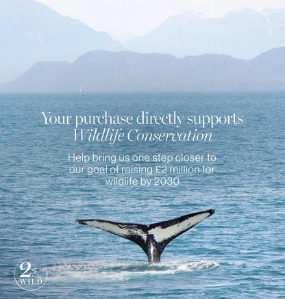 Celestial Whale Shark Everyday Pouch