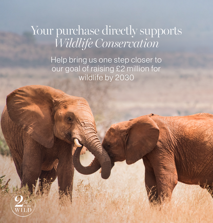 Sun Goddess Open Flat Makeup Bag