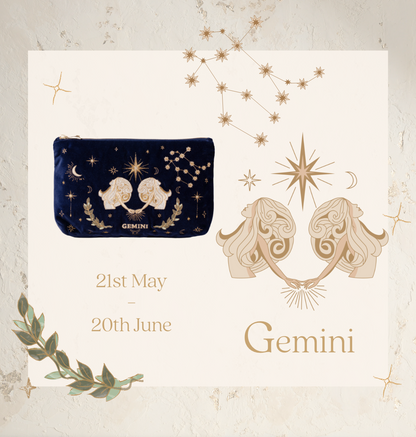 Gemini Navy Everyday Pouch