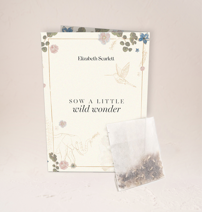 RHS Chelsea Flower Show Wildflower Seeds