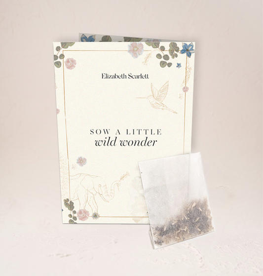 RHS Chelsea Flower Show Wildflower Seeds