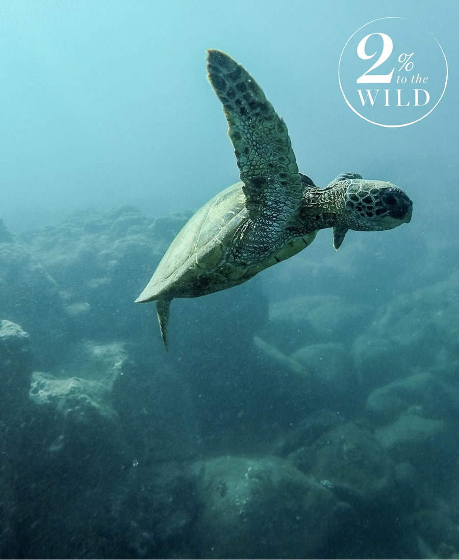 This summer, support wildlife with Elizabeth Scarlett