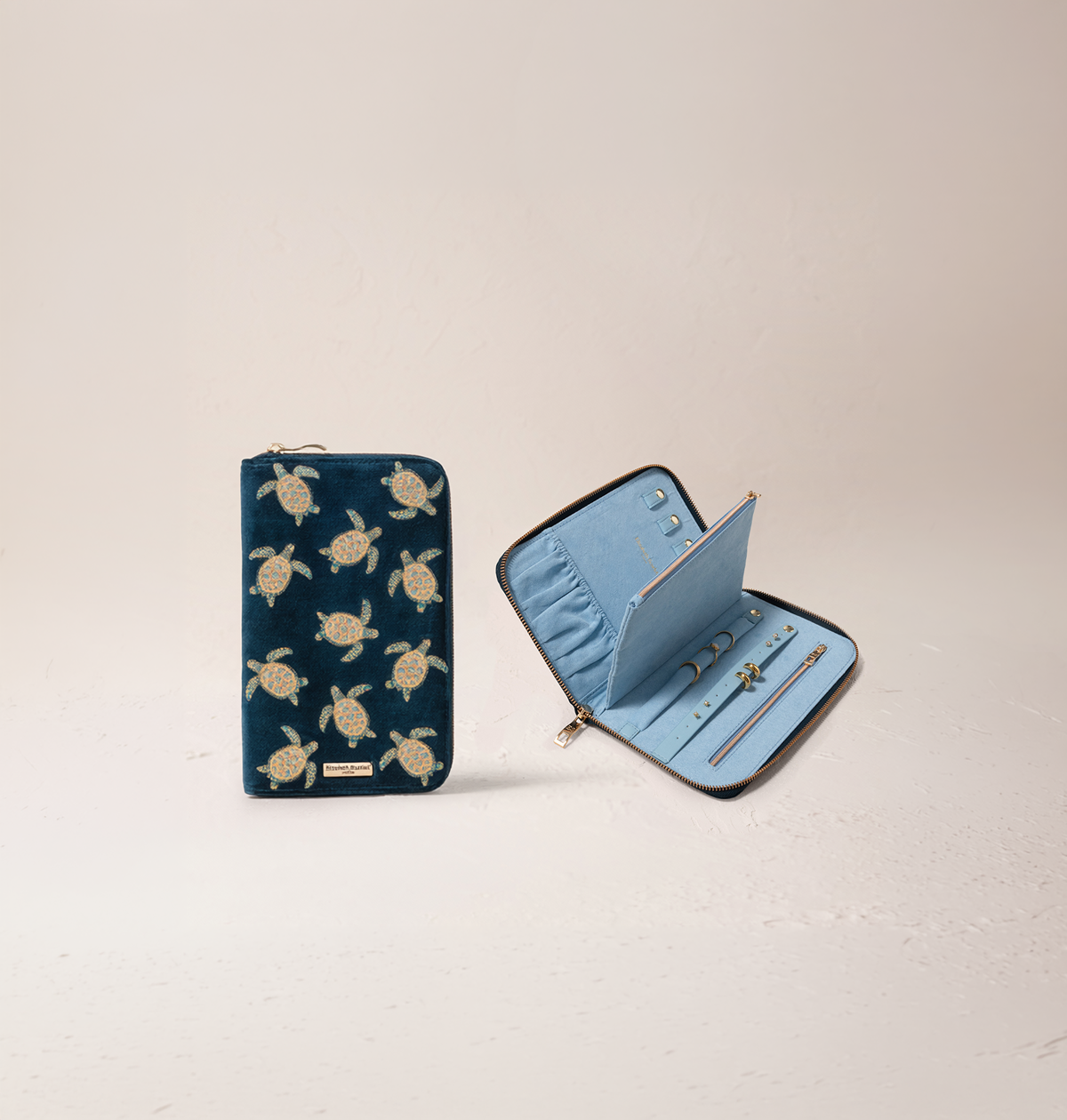Turtle Conservation Jewellery Case
