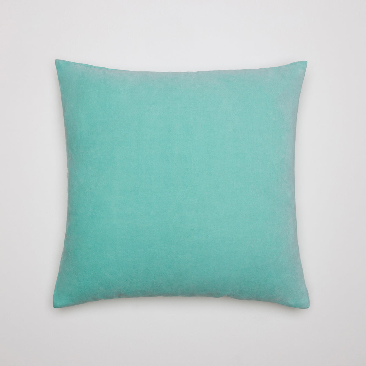 color_mint