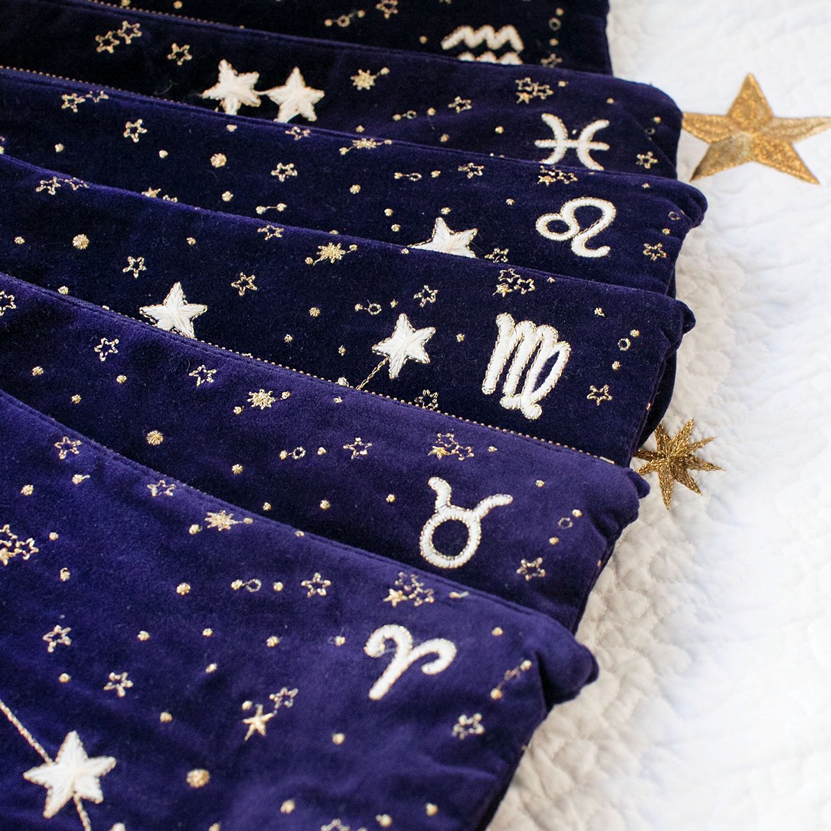 Luxury Everyday  Aquarius Velvet Everyday Pouch 3