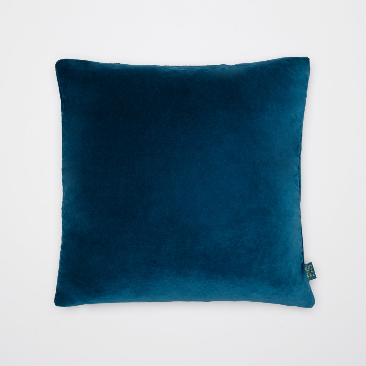 color_teal