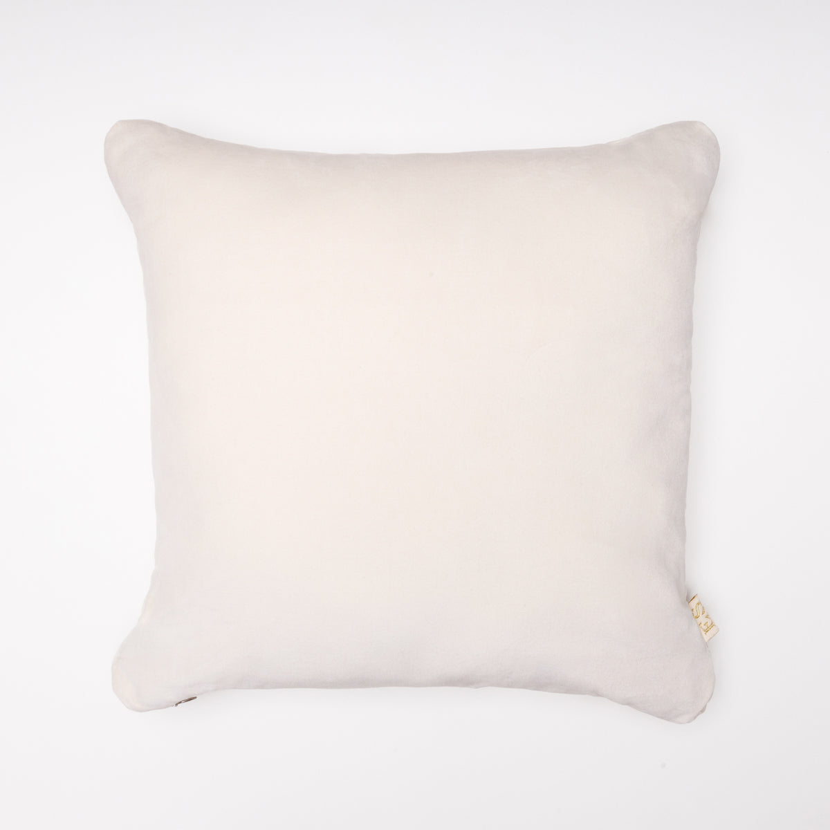 color_cream